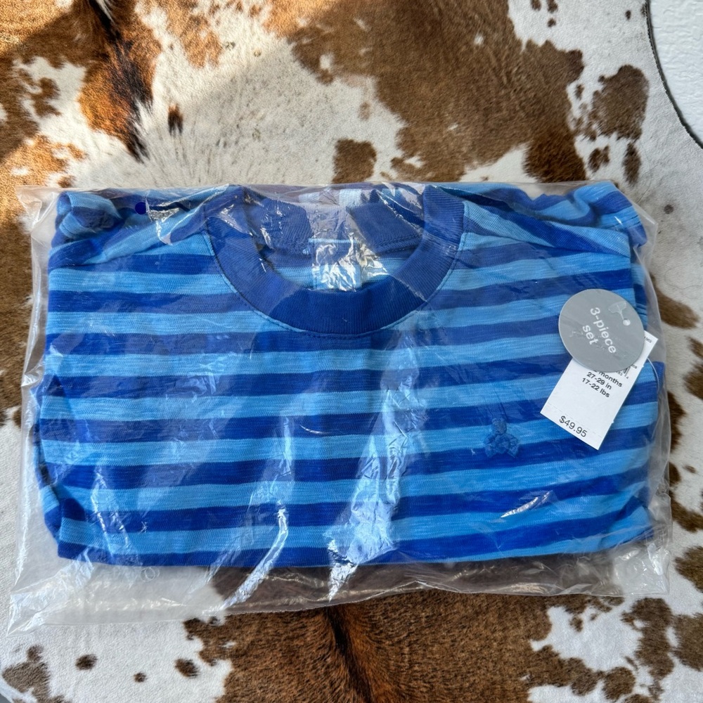 BabyGAP Organic Cotton Blue Stripe Short Set